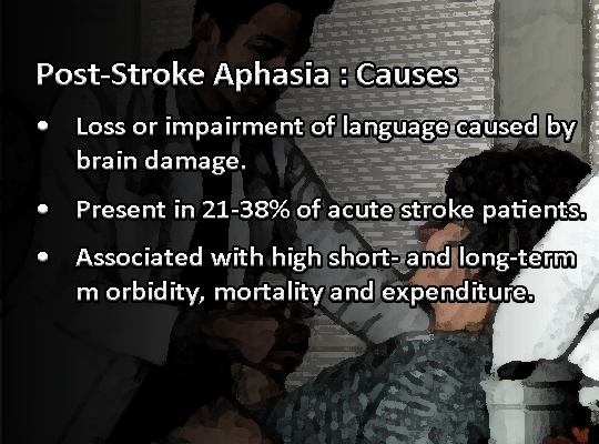 Post-Stroke Aphasia